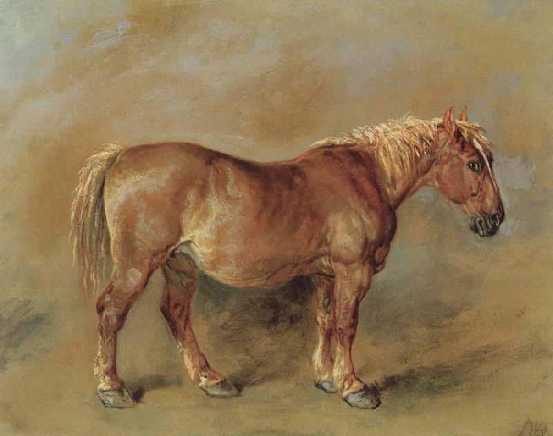 James Ward A Suffolk Punch